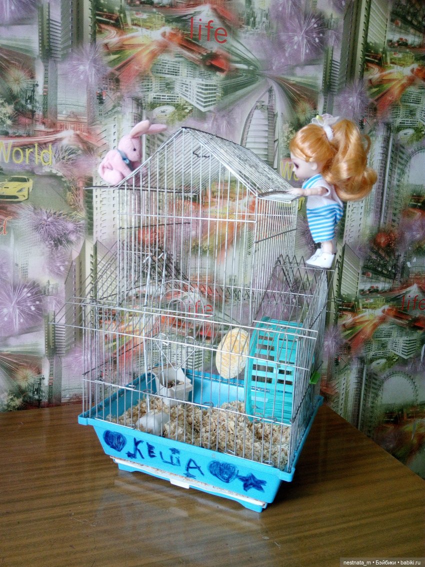 Как Вероника и Вика в гостях были (фото 5)