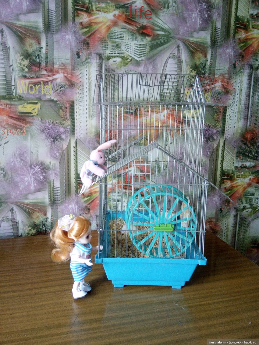 Как Вероника и Вика в гостях были (фото 4)