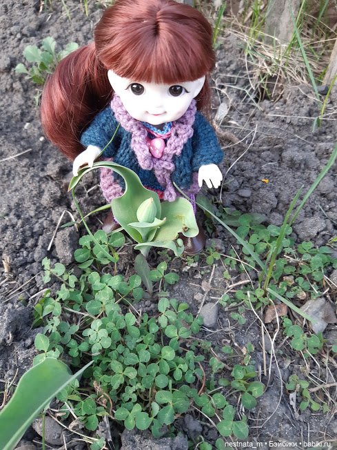 Любопытный "десант" — Куклы Baboliy (Баболи