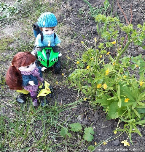 Любопытный "десант" — Куклы Baboliy (Баболи