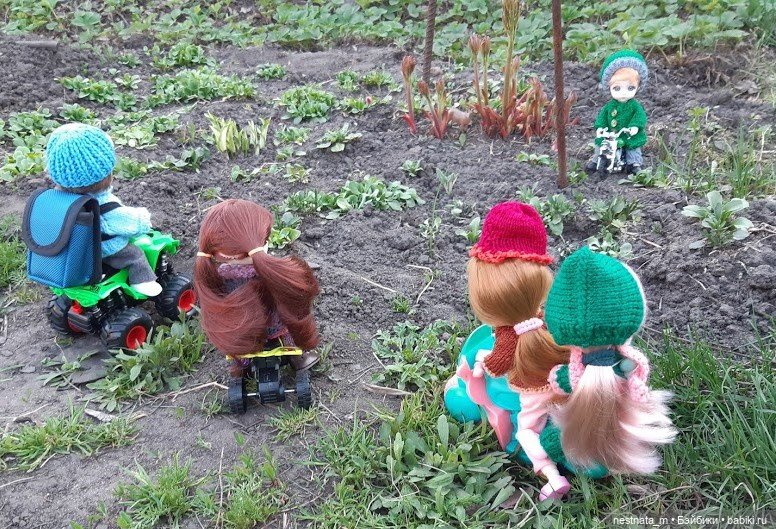 Любопытный "десант" — Куклы Baboliy (Баболи (фото 9)
