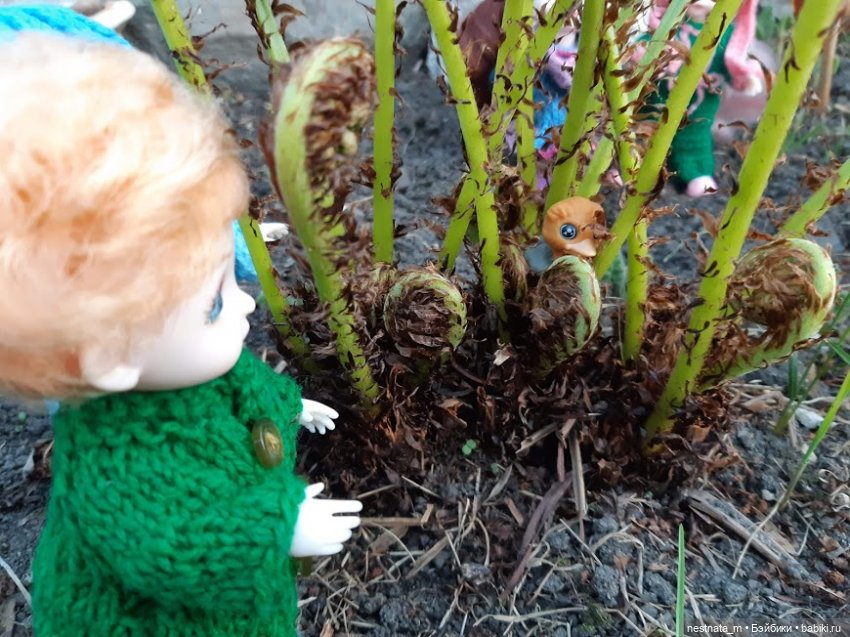Любопытный "десант" — Куклы Baboliy (Баболи