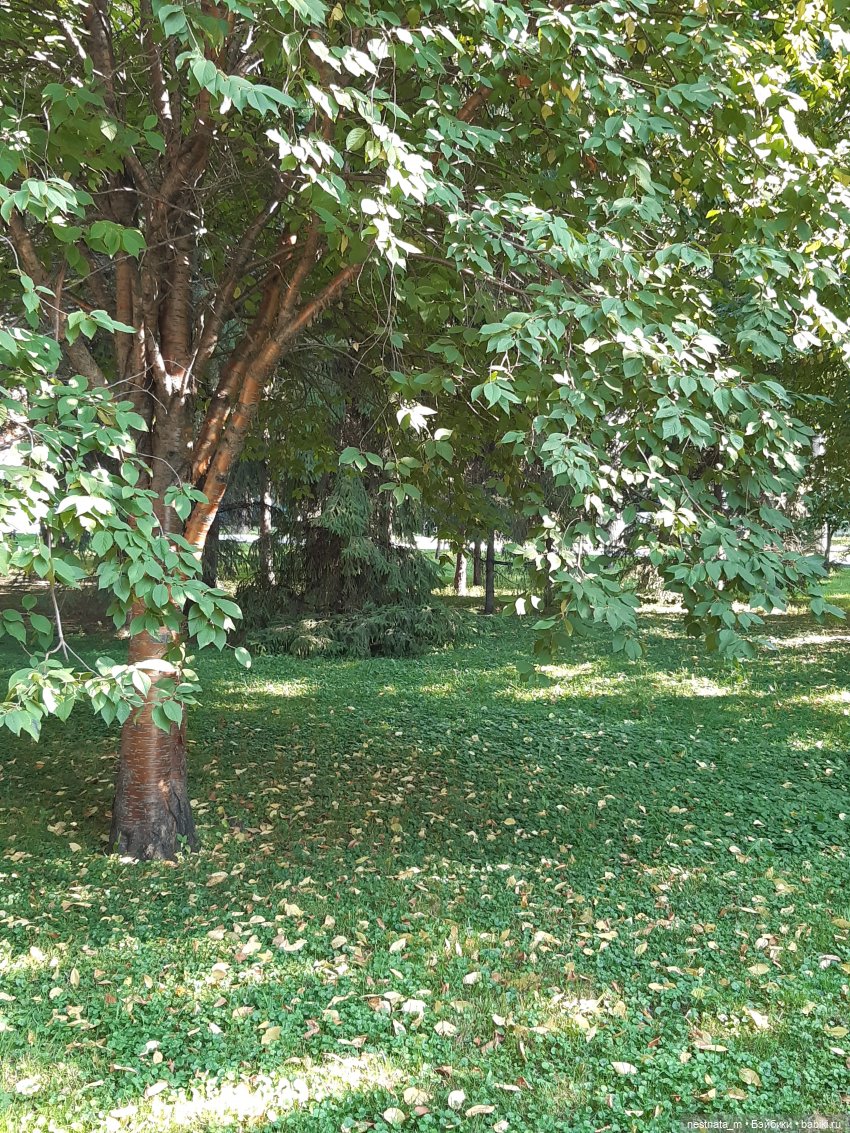 В парке — Куклы Baboliy (Баболи