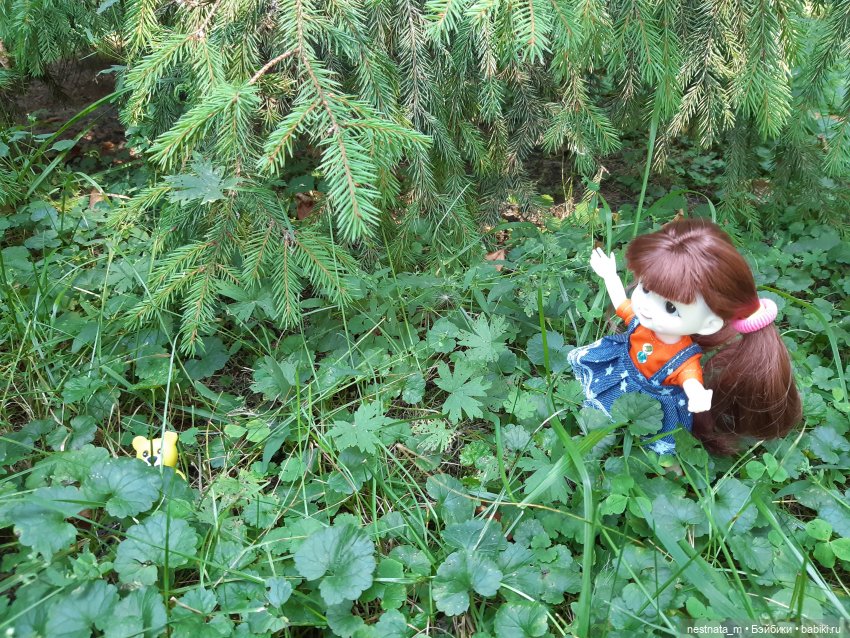 В парке — Куклы Baboliy (Баболи (фото 8)