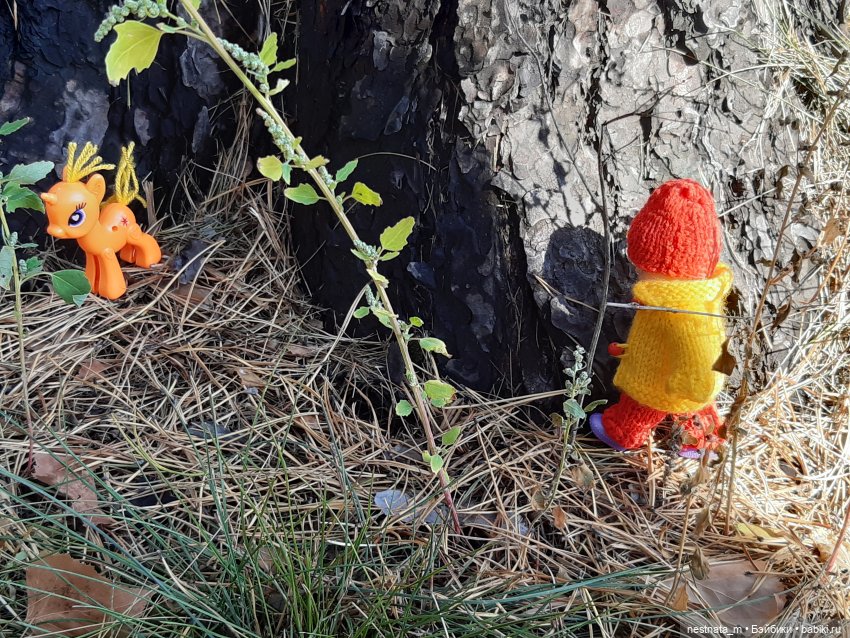 Поездка на дачу | Бэйбики Поездка на дачу — Zapf Creation Mini: Baby Born (фото 6)