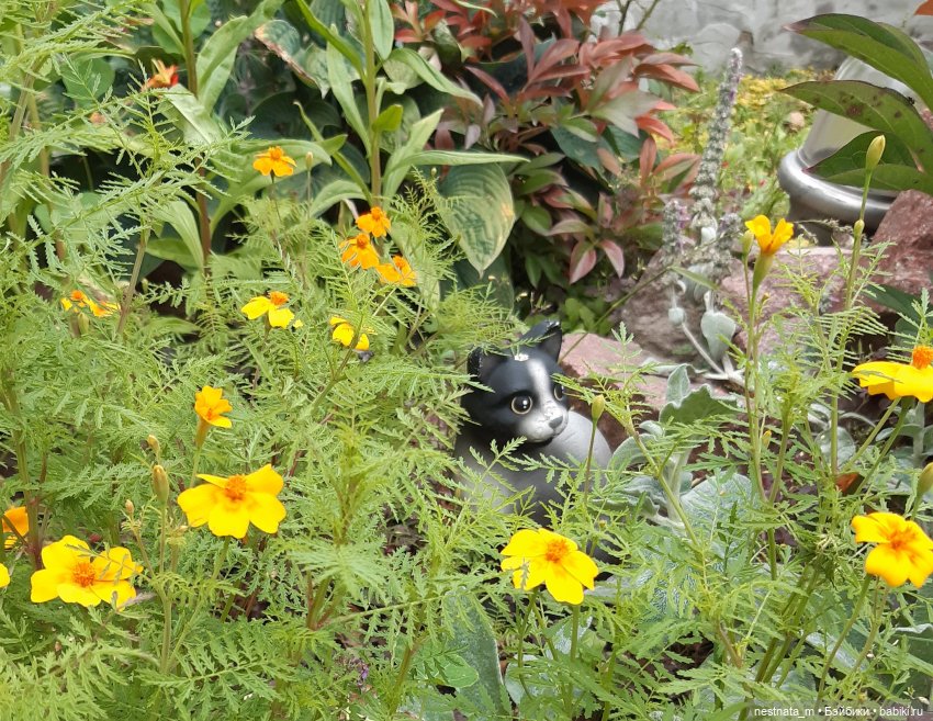 Поездка на дачу | Бэйбики Поездка на дачу — Zapf Creation Mini: Baby Born