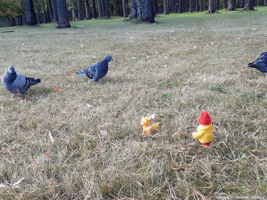 Поездка на дачу | Бэйбики Поездка на дачу — Zapf Creation Mini: Baby Born (фото 9)