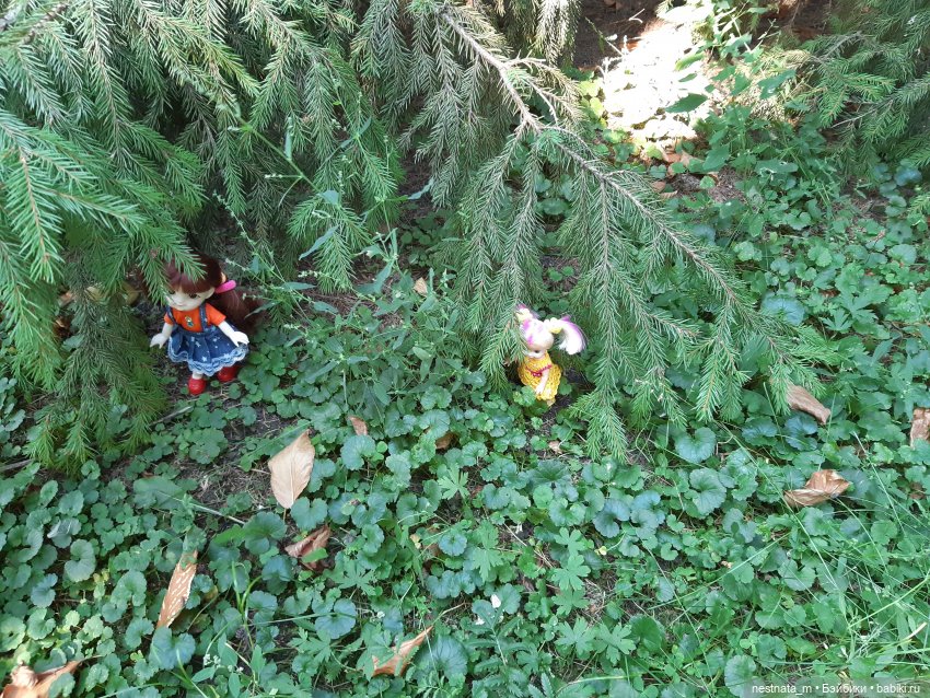 В парке — Куклы Baboliy (Баболи (фото 4)