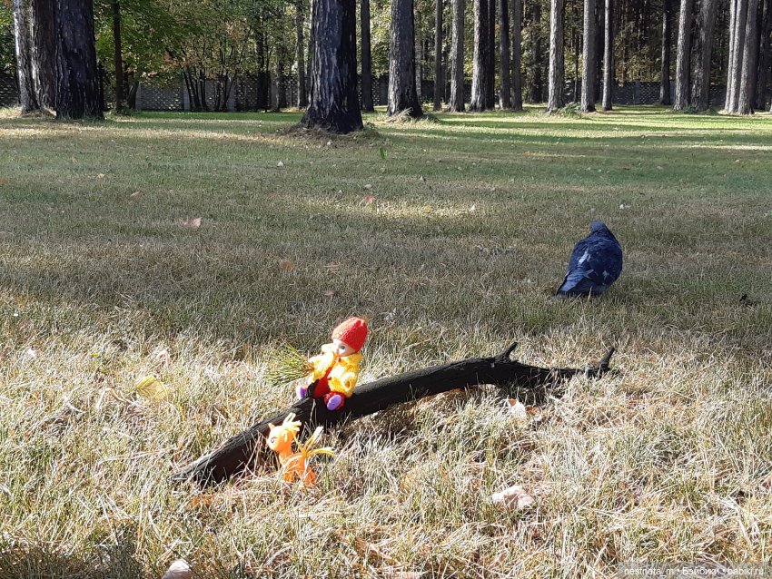 Поездка на дачу | Бэйбики Поездка на дачу — Zapf Creation Mini: Baby Born (фото 10)