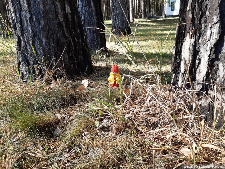 Поездка на дачу | Бэйбики Поездка на дачу — Zapf Creation Mini: Baby Born (фото 5)