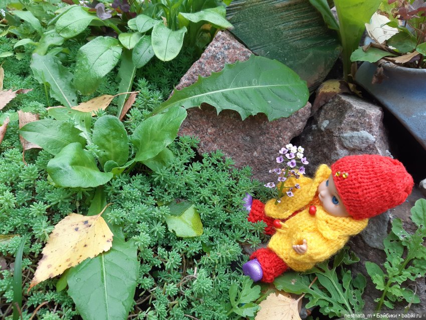 Поездка на дачу | Бэйбики Поездка на дачу — Zapf Creation Mini: Baby Born