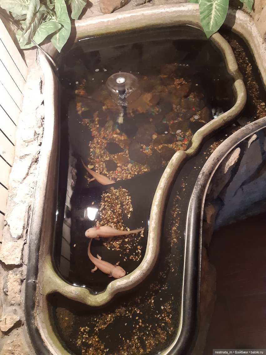 Элина и моя поездка — Куклы Baboliy (Баболи (фото 9)