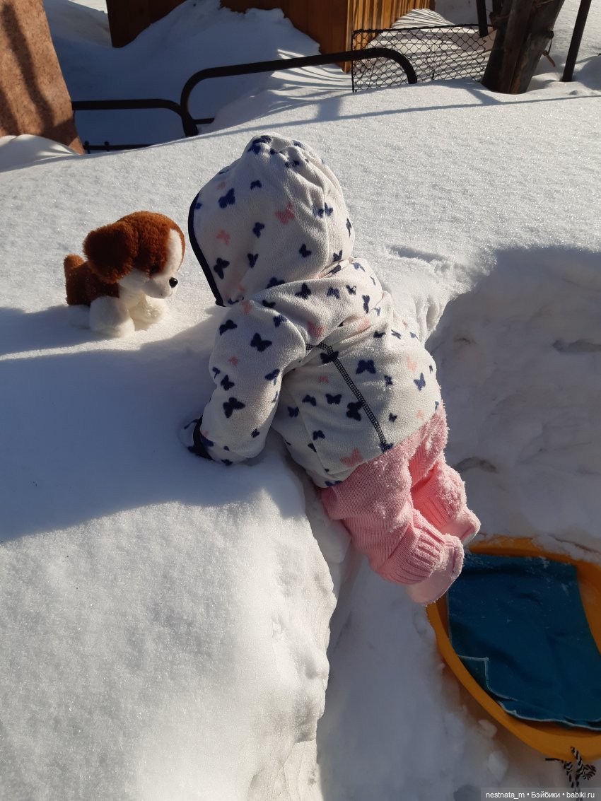 Как мы с Анечкой щенка нашли (фото 10)