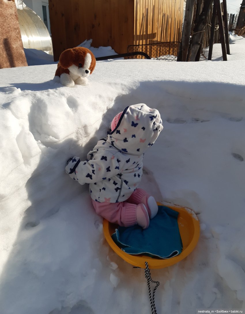 Как мы с Анечкой щенка нашли (фото 9)