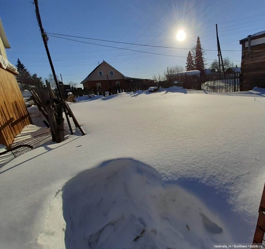 Как мы с Анечкой щенка нашли