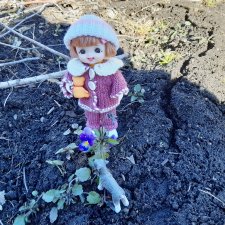 Первый цветочек