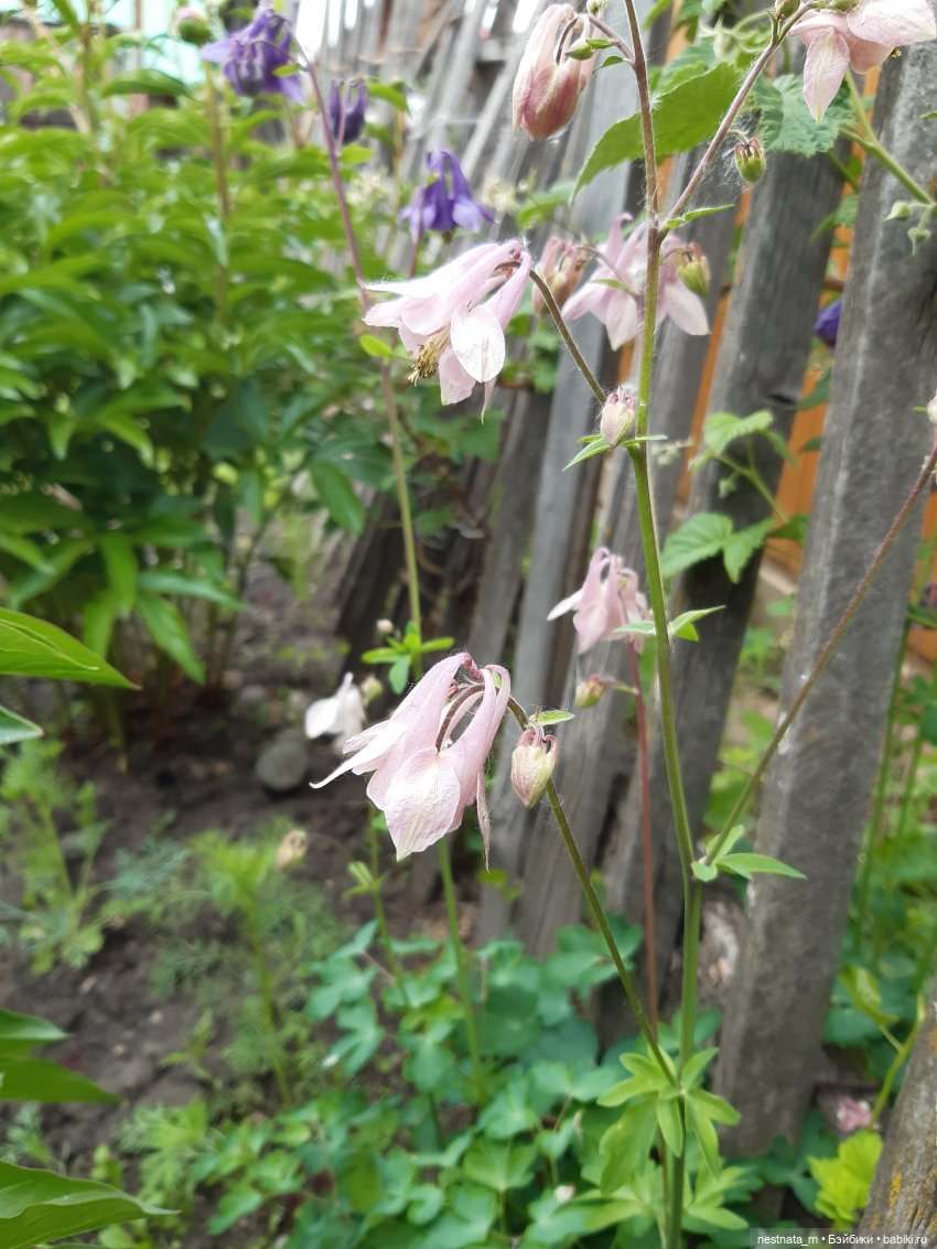 Пакет с подарками — Российские куклы Весна