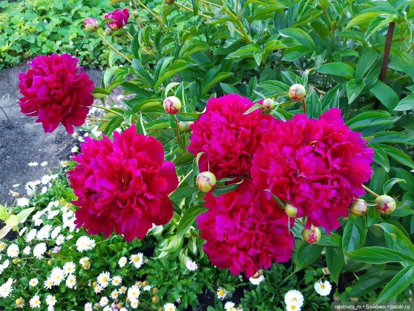 Выходной у мамы — Игровые куклы разных производителей (Разное): редкие бренды