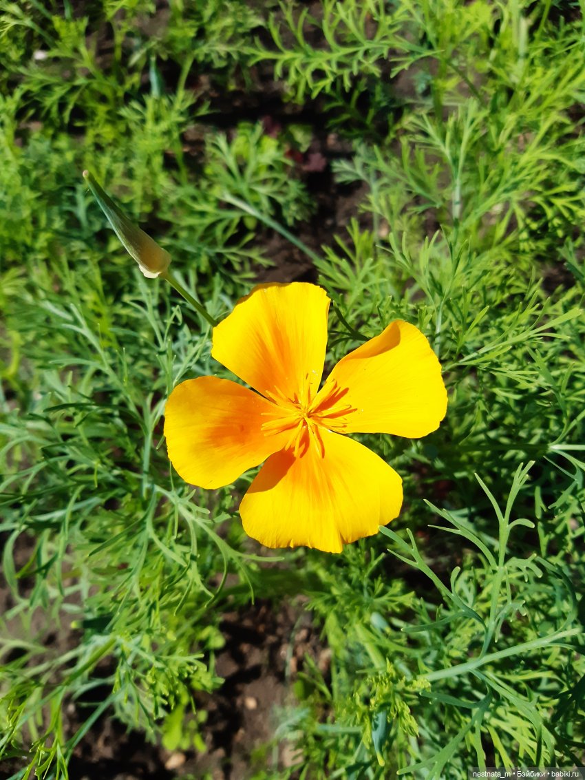 Выходной у мамы — Игровые куклы разных производителей (Разное): редкие бренды