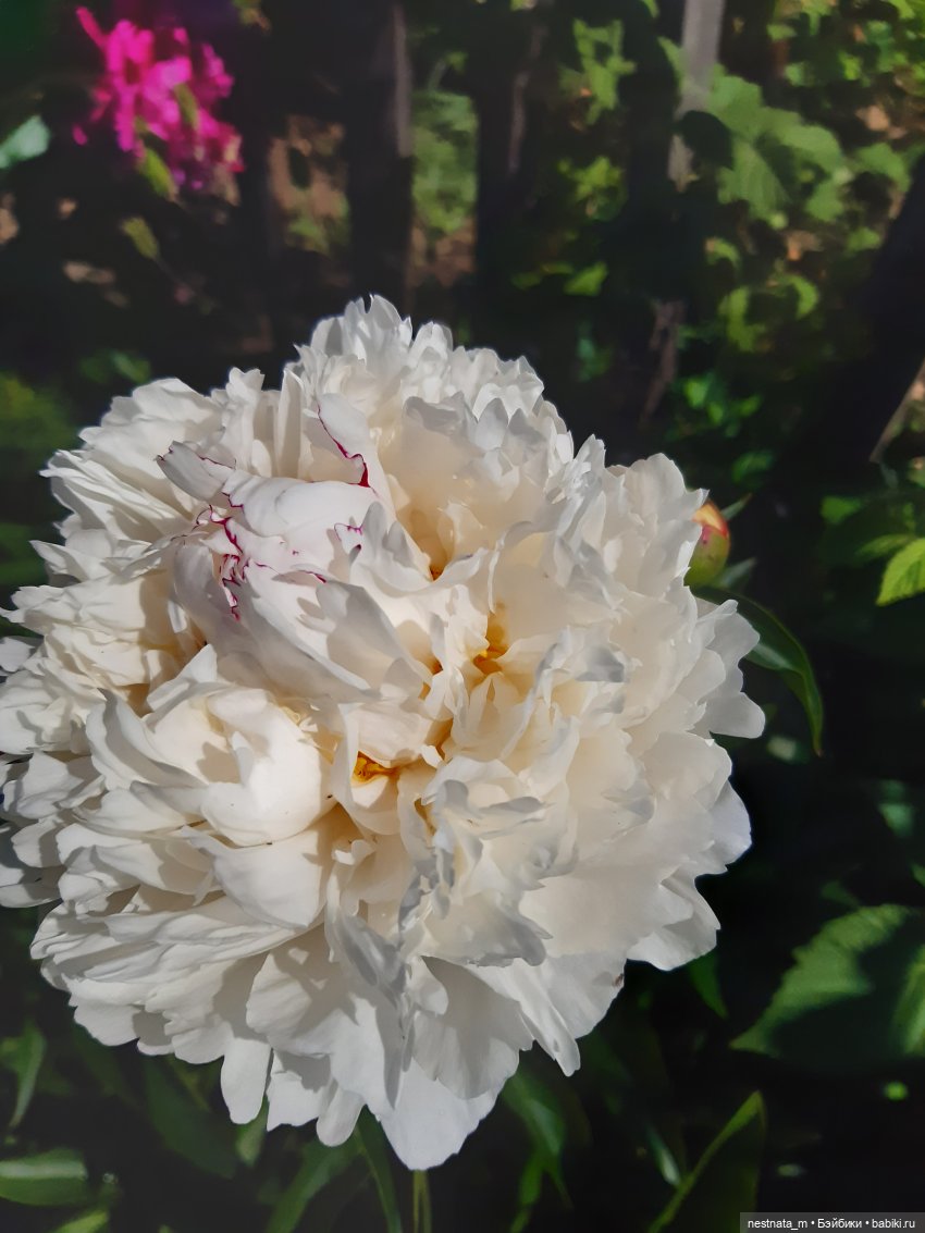 Выходной у мамы — Игровые куклы разных производителей (Разное): редкие бренды