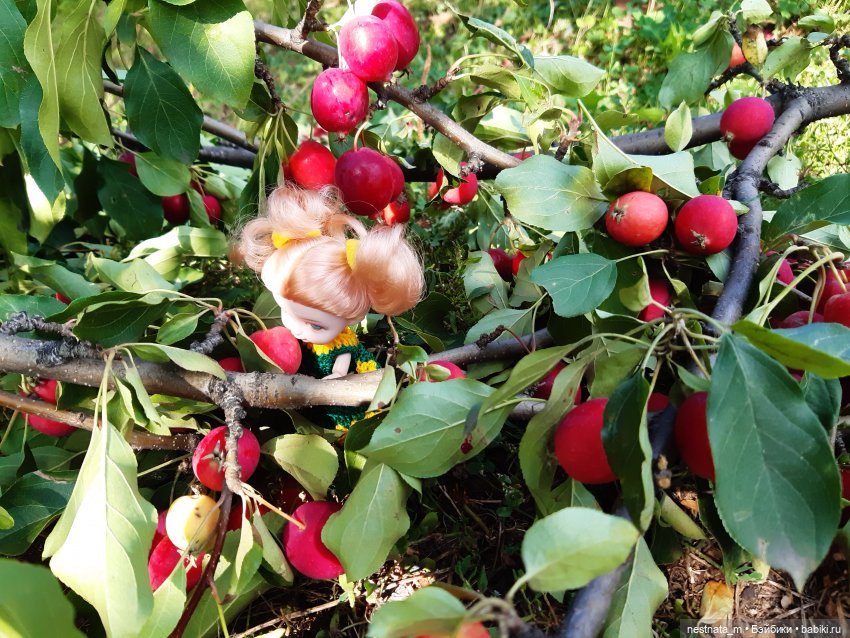 Милка на даче — Куклы Baboliy (Баболи (фото 10)