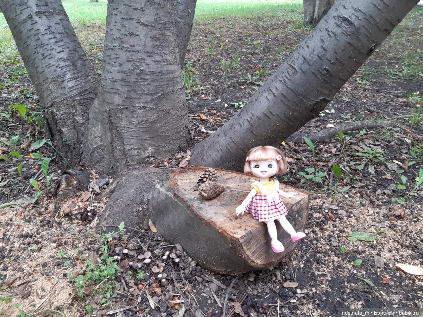 Знакомство с Лапой — Куклы Baboliy (Баболи