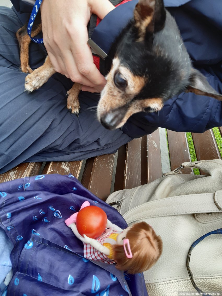 Знакомство с Лапой — Куклы Baboliy (Баболи (фото 4)