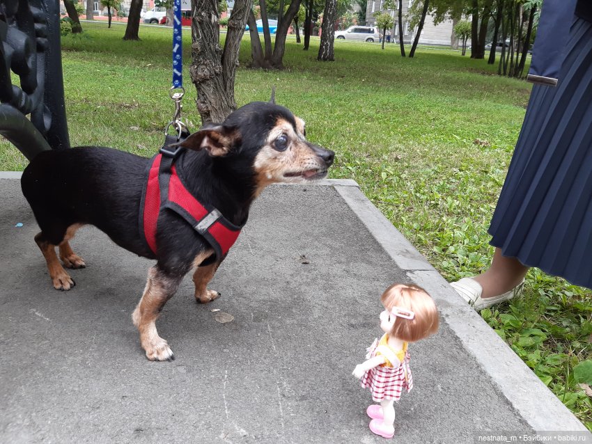 Знакомство с Лапой — Куклы Baboliy (Баболи (фото 9)