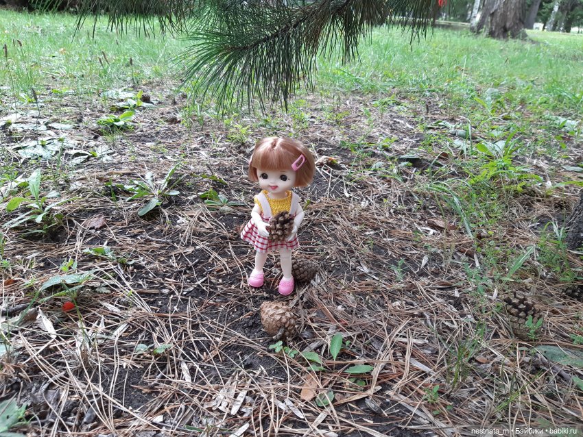 Знакомство с Лапой — Куклы Baboliy (Баболи