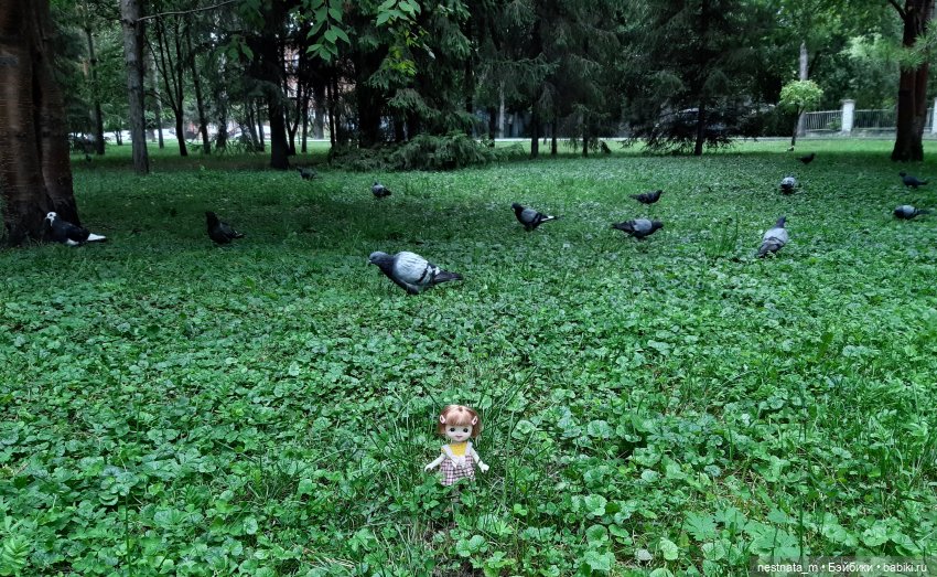 Знакомство с Лапой — Куклы Baboliy (Баболи (фото 10)