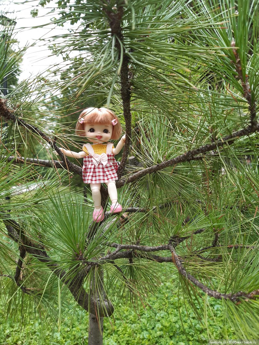 Знакомство с Лапой — Куклы Baboliy (Баболи