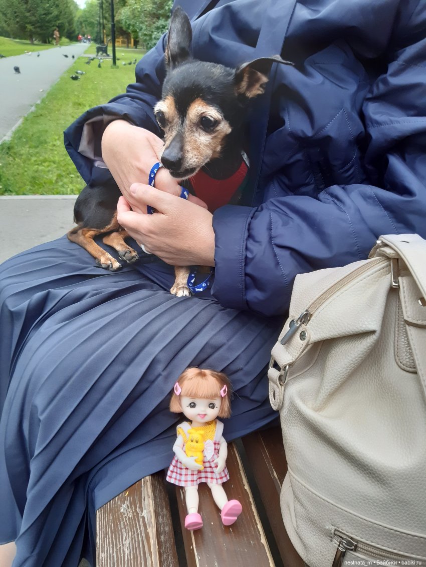 Знакомство с Лапой — Куклы Baboliy (Баболи (фото 5)