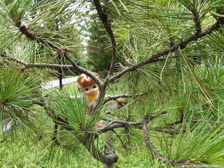 Знакомство с Лапой — Куклы Baboliy (Баболи