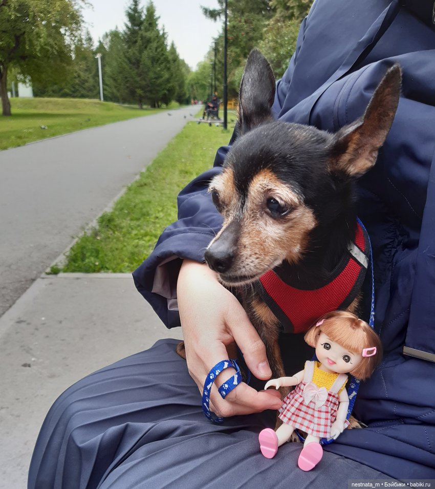 Знакомство с Лапой — Куклы Baboliy (Баболи (фото 7)