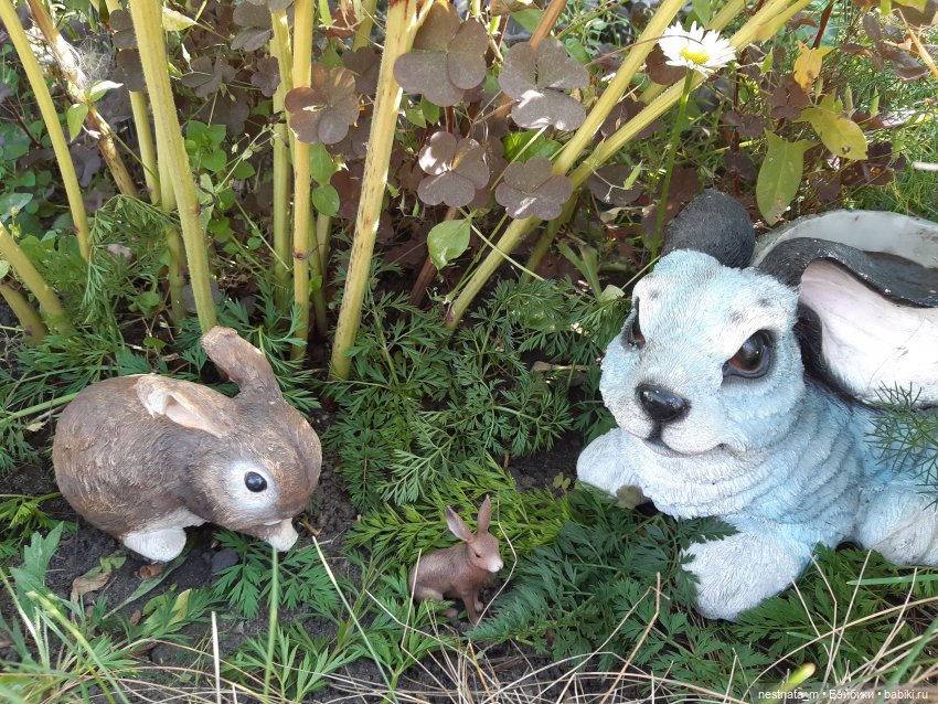 Сон Маргаритки — Куклы Baboliy (Баболи (фото 10)