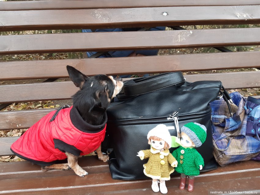 С Лапой в парке — Куклы Baboliy (Баболи (фото 3)