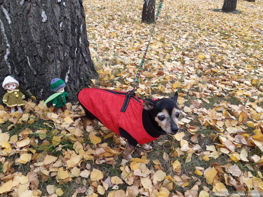 С Лапой в парке — Куклы Baboliy (Баболи (фото 10)