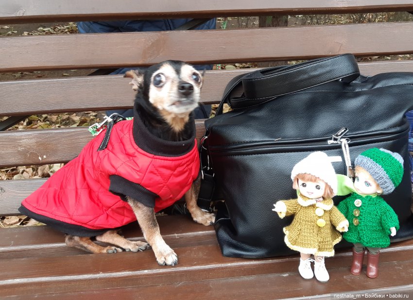 С Лапой в парке — Куклы Baboliy (Баболи