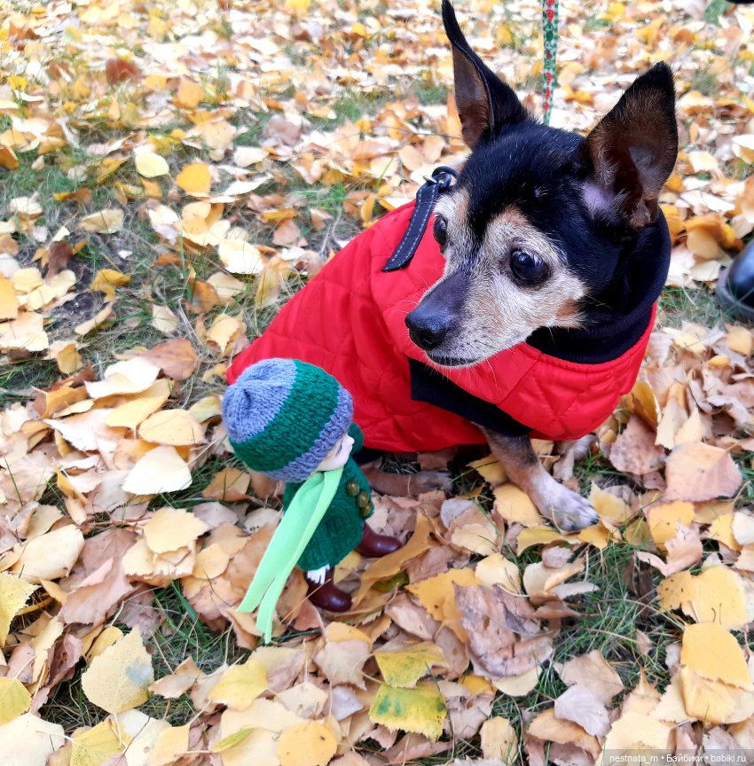 С Лапой в парке — Куклы Baboliy (Баболи