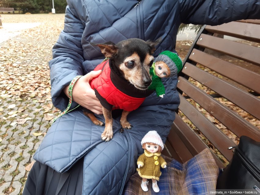 С Лапой в парке — Куклы Baboliy (Баболи (фото 6)