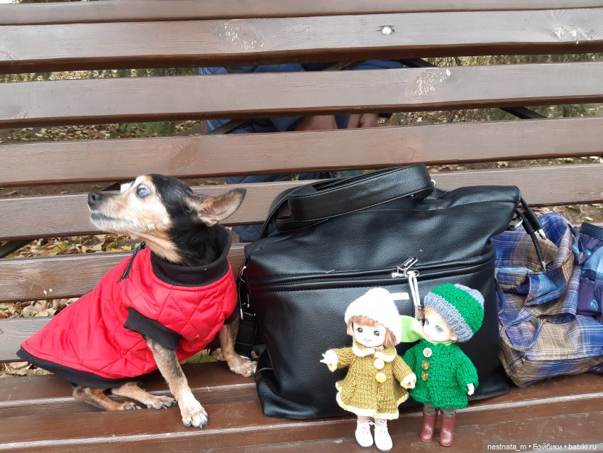 С Лапой в парке — Куклы Baboliy (Баболи (фото 2)