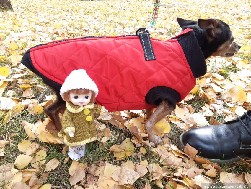 С Лапой в парке — Куклы Baboliy (Баболи