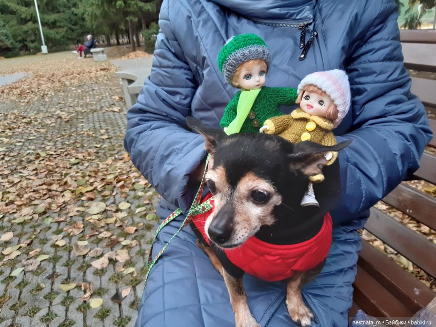 С Лапой в парке — Куклы Baboliy (Баболи (фото 5)