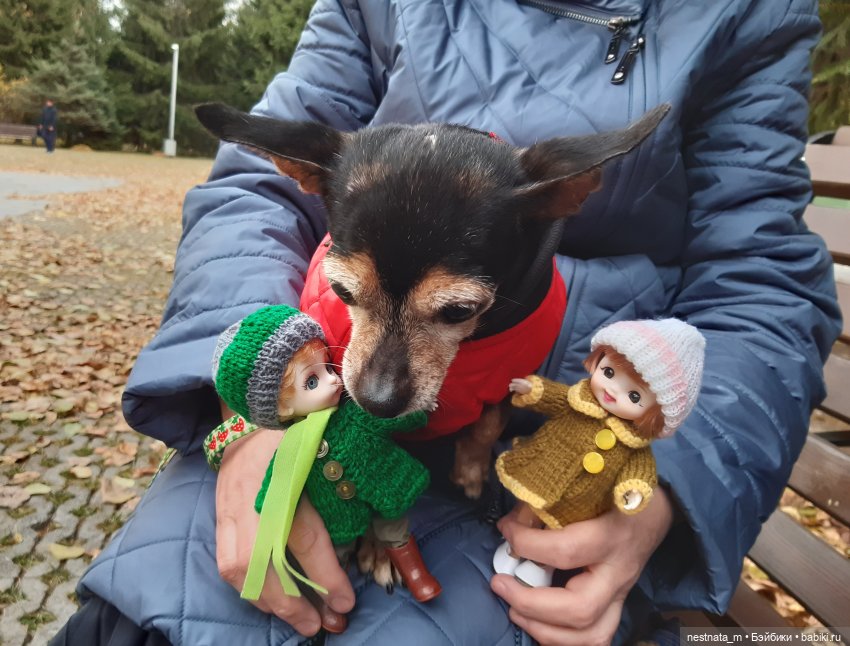 С Лапой в парке — Куклы Baboliy (Баболи (фото 4)