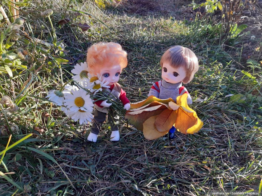 Два брата — Куклы Baboliy (Баболи