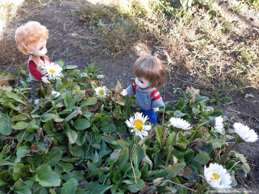 Два брата — Куклы Baboliy (Баболи