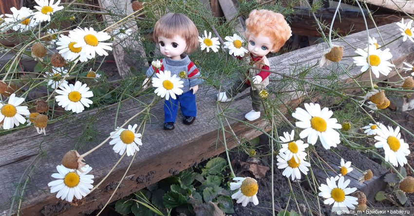 Два брата — Куклы Baboliy (Баболи