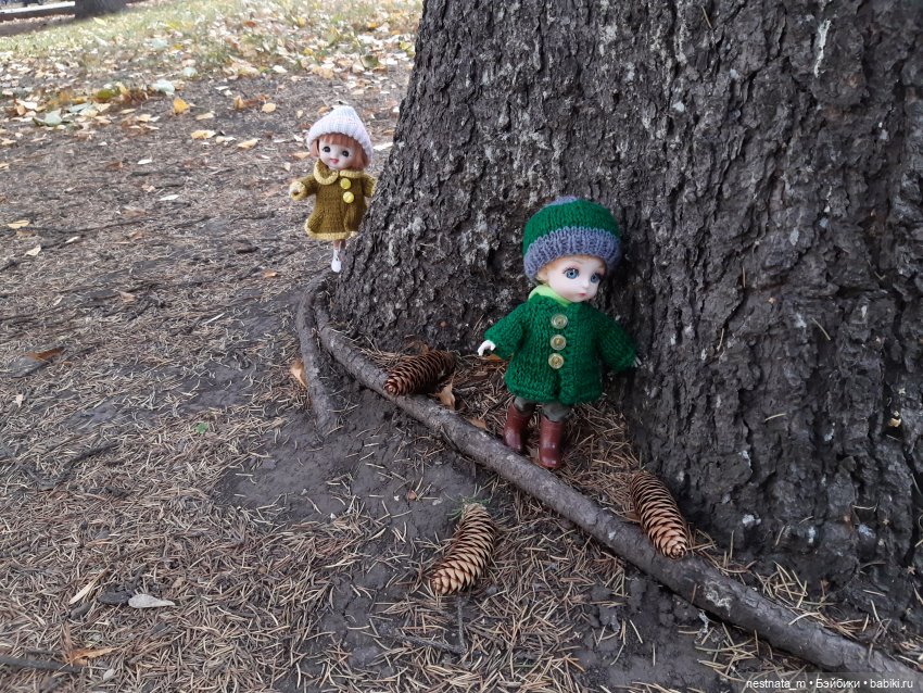 С Лапой в парке — Куклы Baboliy (Баболи