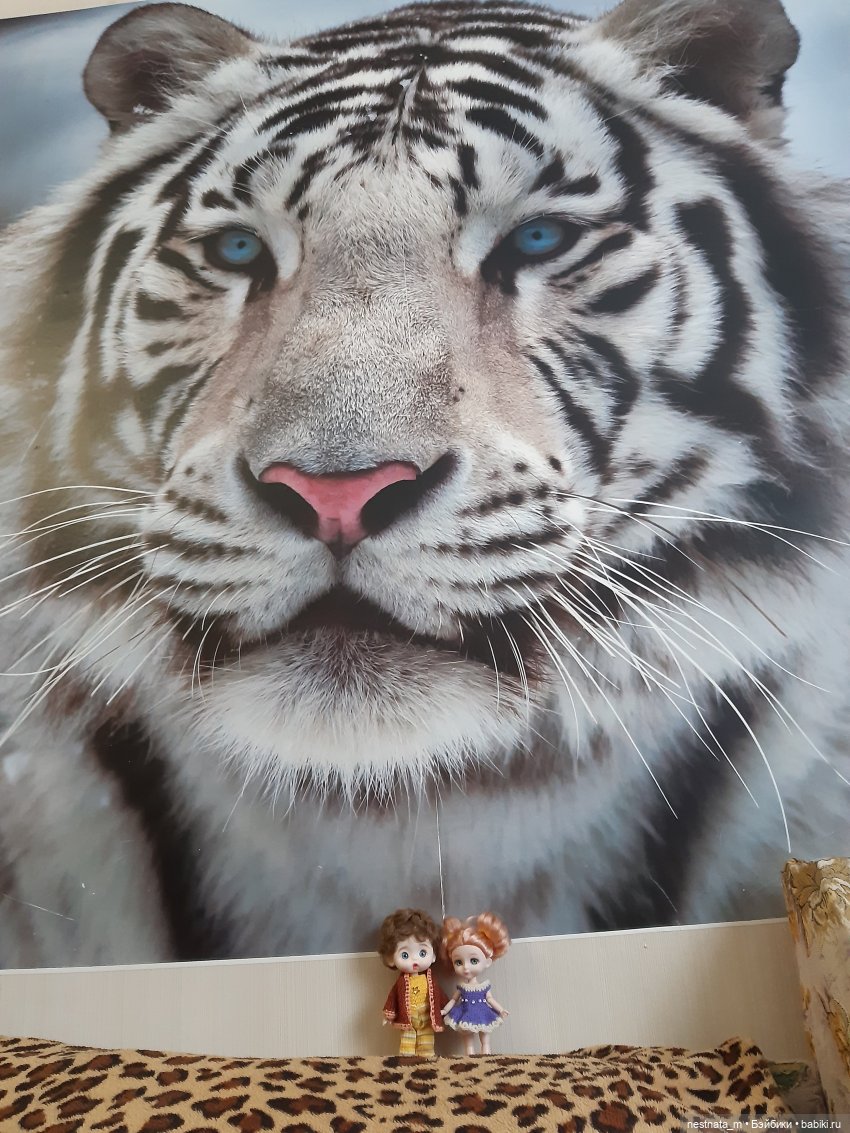 Прошка — Куклы Baboliy (Баболи (фото 10)