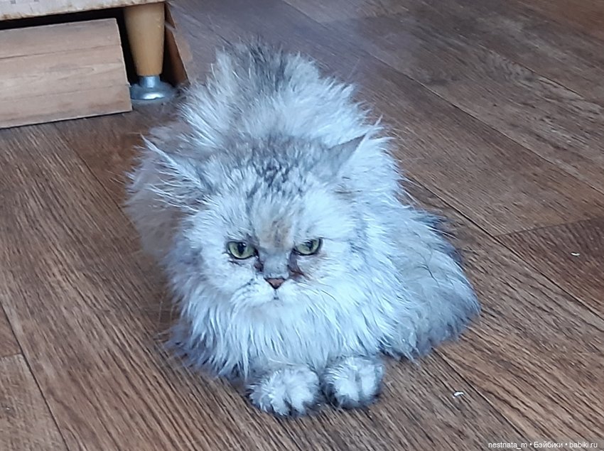 В гостях у Лиды и Ксюши — Куклы Baboliy (Баболи (фото 6)